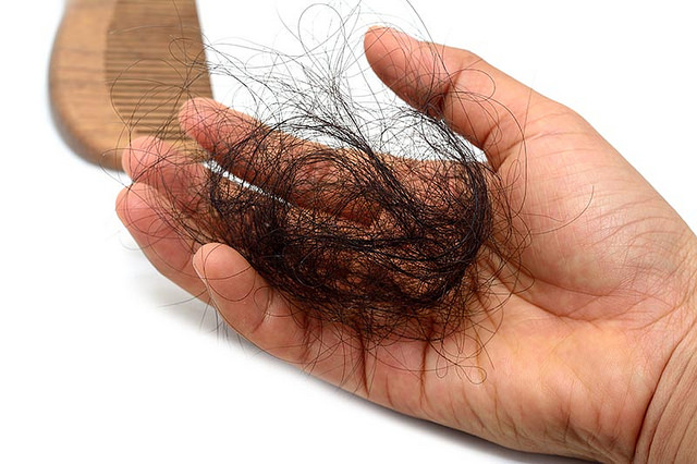 Une poignée de cheveux retirée d'un peigne en bois.